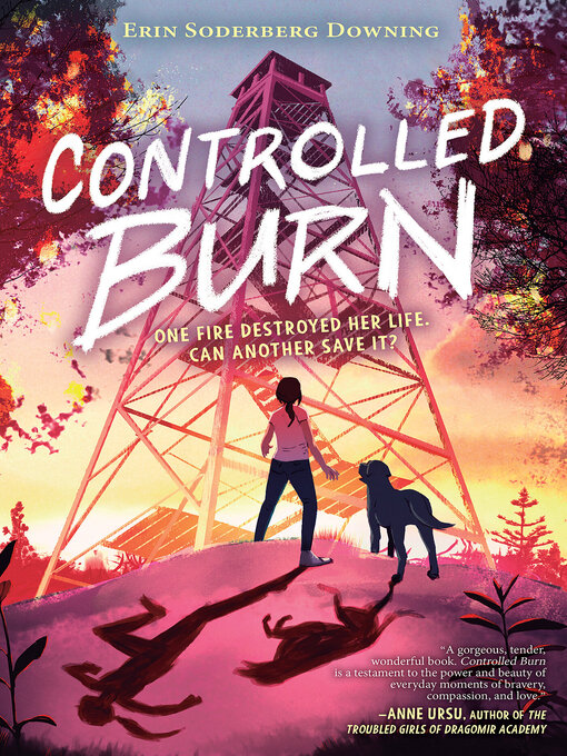 Title details for Controlled Burn by Erin Soderberg Downing - Available